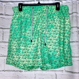 Islandhaze green swordfish swim trunks large